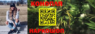 стаф Кинель