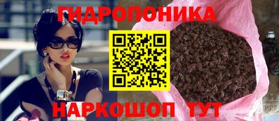 стаф Кинель